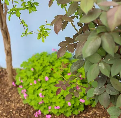 게스트하우스 Aurora *